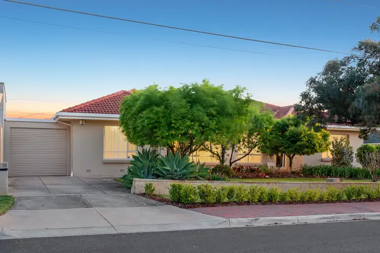 12 Vincent Avenue, Athelstone SA 5076