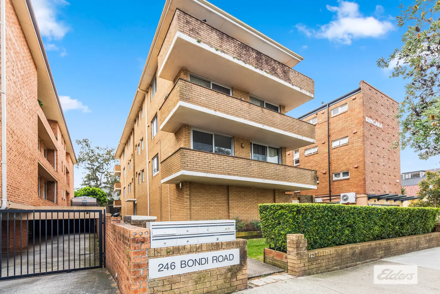 Main view of Homely apartment listing, 3/246 Bondi Road, Bondi NSW 2026