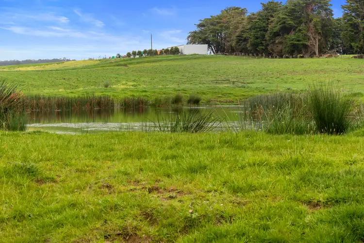Seventh view of Homely rural property listing, 8 Stubbers Lane, Mirboo North VIC 3871