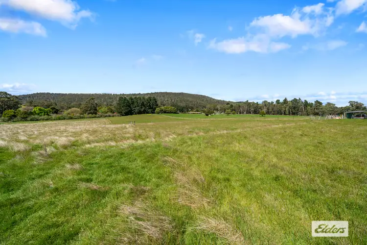 Fourth view of Homely house listing, 343 Glen Huon Road, Huonville TAS 7109