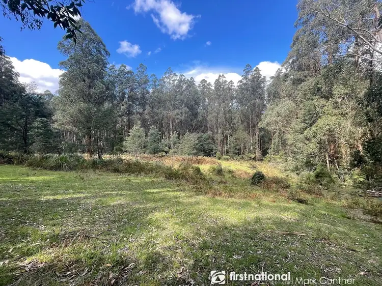 Main view of Homely rural property listing, 194 Smiths Road, Toolangi VIC 3777