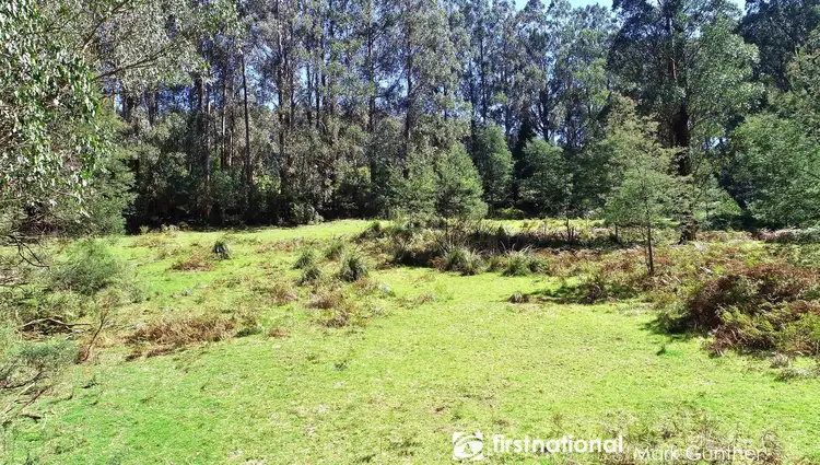 Second view of Homely rural property listing, 194 Smiths Road, Toolangi VIC 3777