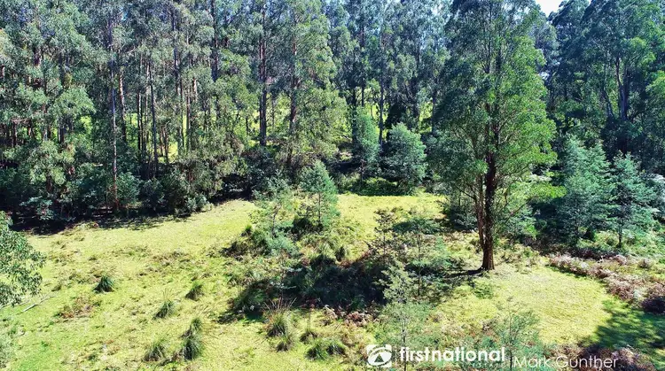 Fourth view of Homely rural property listing, 194 Smiths Road, Toolangi VIC 3777