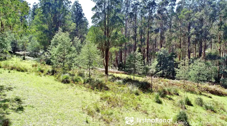 Fifth view of Homely rural property listing, 194 Smiths Road, Toolangi VIC 3777