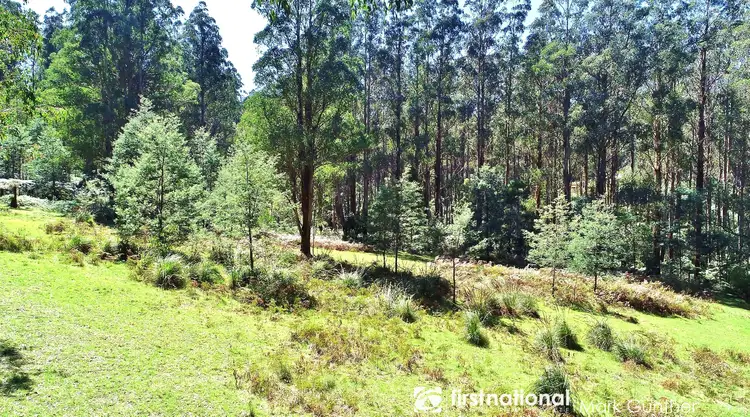 Sixth view of Homely rural property listing, 194 Smiths Road, Toolangi VIC 3777