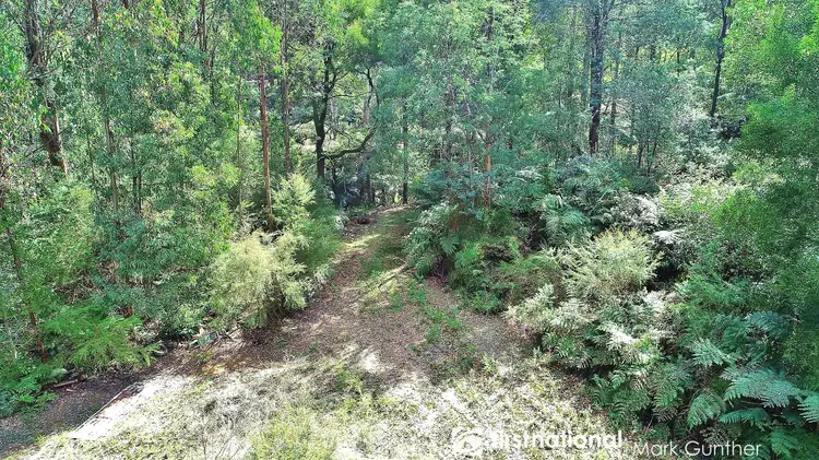 Seventh view of Homely rural property listing, 194 Smiths Road, Toolangi VIC 3777