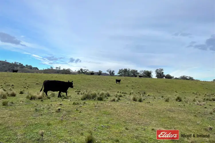 Sixth view of Homely rural property listing, Goulburn Road, Abercrombie River NSW 2795