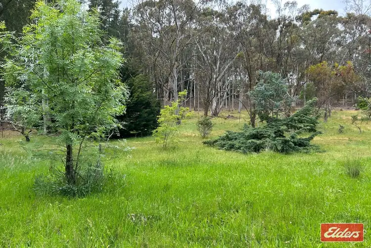 Second view of Homely land listing, Lot 1 Gottwald Road, Williamstown SA 5351