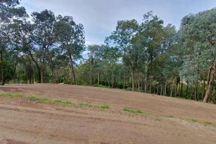 55 Bradys Road, Tyers VIC 3844