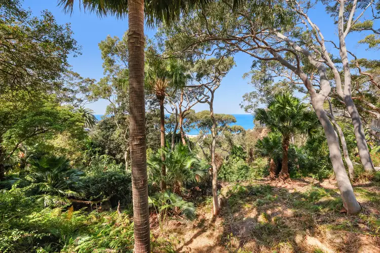 6/5A Wollombi Road