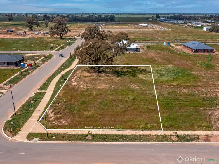14 Gorman Drive, Yarrawonga VIC 3730
