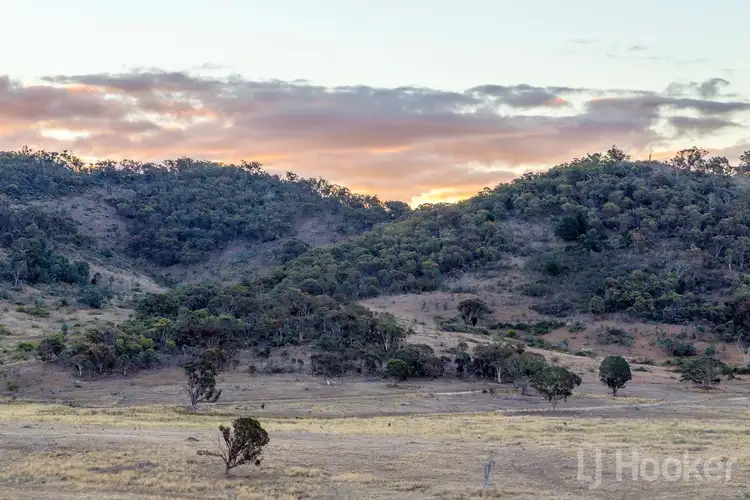 Fifth view of Homely rural property listing, LOT 302, 128 Captain Robertson Drive, Burra NSW 2620