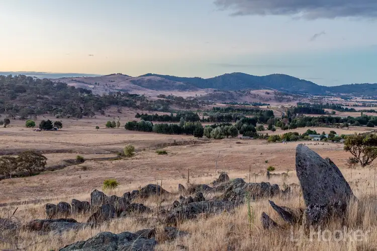 Seventh view of Homely rural property listing, LOT 302, 128 Captain Robertson Drive, Burra NSW 2620