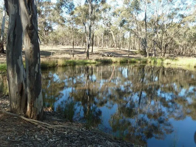 Main view of Homely rural property listing, Lot 14 Wheelhouse Road, Wehla VIC 3518