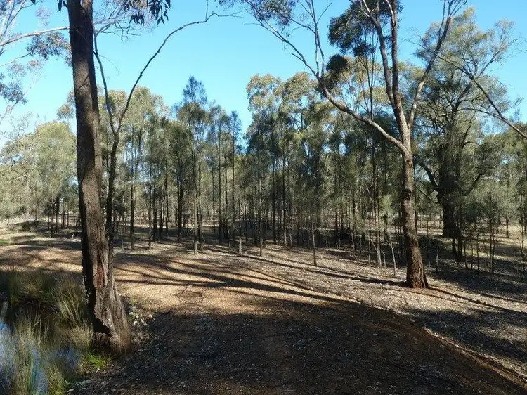 Third view of Homely rural property listing, Lot 14 Wheelhouse Road, Wehla VIC 3518