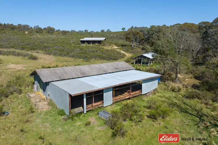 Seventh view of Homely rural property listing, 170 Green Gully Road, Mount Rankin NSW 2795