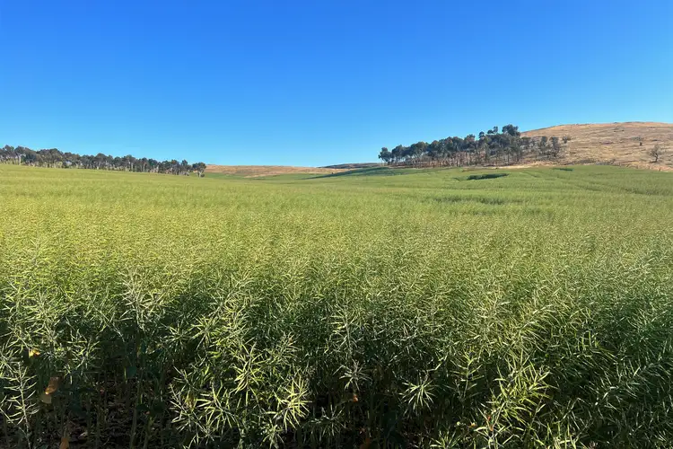 Second view of Homely rural property listing, Lot 2 Gap Road, Milendella SA 5237