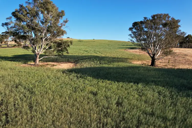 Third view of Homely rural property listing, Lot 2 Gap Road, Milendella SA 5237