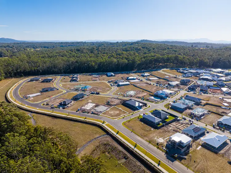 Fifth view of Homely land listing, Lot 239 Mare Avenue, Thrumster NSW 2444