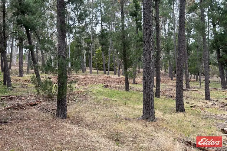 Third view of Homely land listing, Lot 5 Alexander Murray Road, Williamstown SA 5351