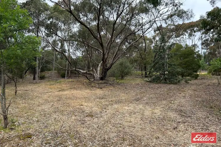 Third view of Homely land listing, Lot 6 Alexander Murray Road, Williamstown SA 5351