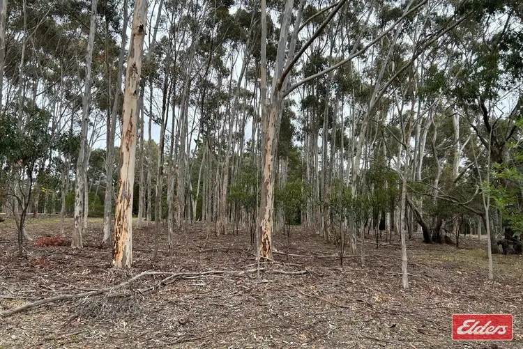 Seventh view of Homely land listing, Lot 6 Alexander Murray Road, Williamstown SA 5351