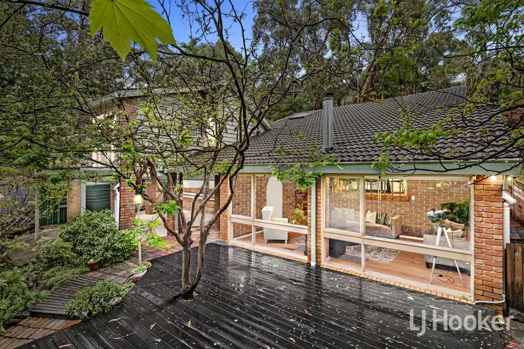 20 Fern Street, The Basin VIC 3154