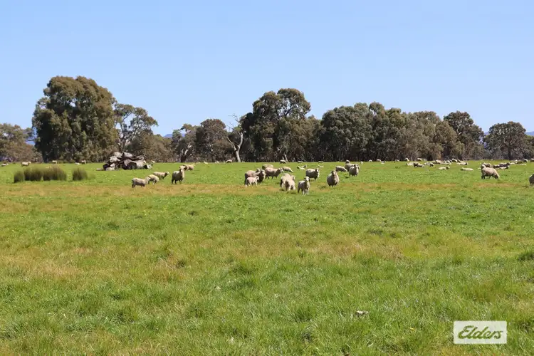 Main view of Homely rural property listing, CA 91a 91b Mitchell Street, Glenthompson VIC 3293