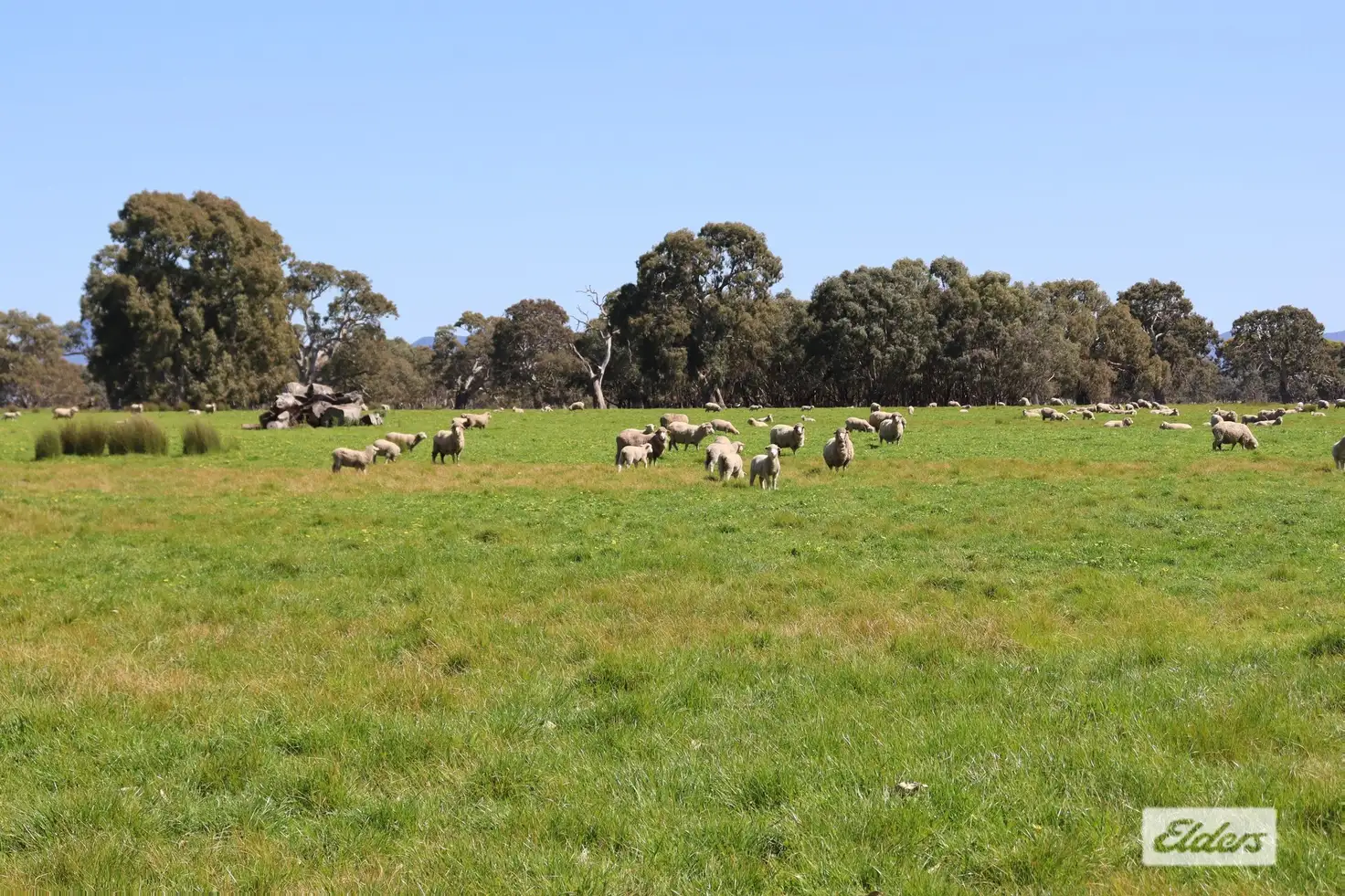 Main view of Homely rural property listing, CA 91a 91b Mitchell Street, Glenthompson VIC 3293