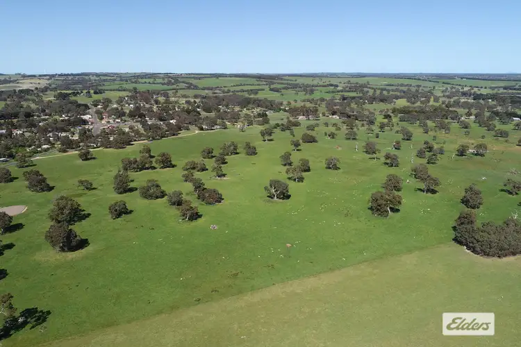 Third view of Homely rural property listing, CA 91a 91b Mitchell Street, Glenthompson VIC 3293