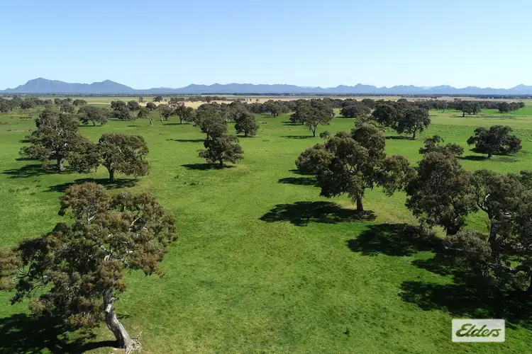 Fifth view of Homely rural property listing, CA 91a 91b Mitchell Street, Glenthompson VIC 3293