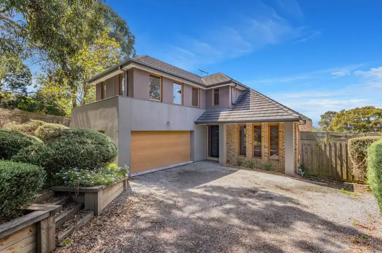 6/557 Canterbury Road