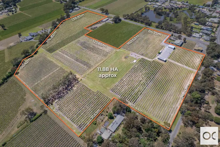 Third view of Homely rural property listing, Lot 44 Chalk Hill Road, Mclaren Flat SA 5171