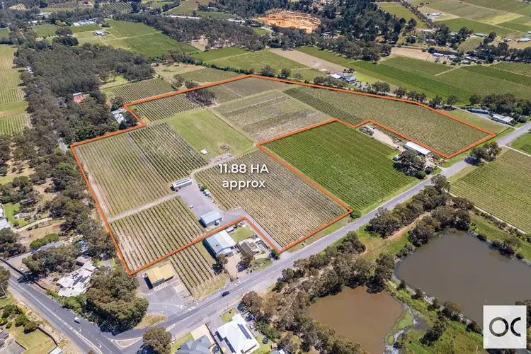 Fourth view of Homely rural property listing, Lot 44 Chalk Hill Road, Mclaren Flat SA 5171
