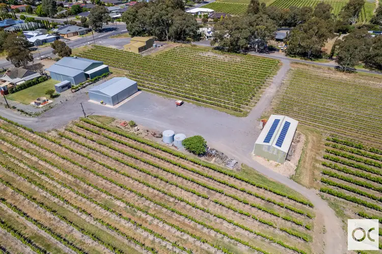 Fifth view of Homely rural property listing, Lot 44 Chalk Hill Road, Mclaren Flat SA 5171