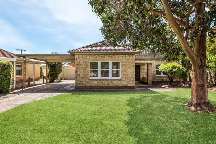 51 Maxwell Avenue, Edwardstown SA 5039