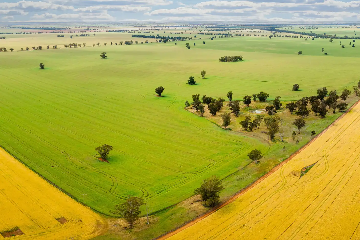 Main view of Homely rural property listing, Cullivel Road, Urana NSW 2645