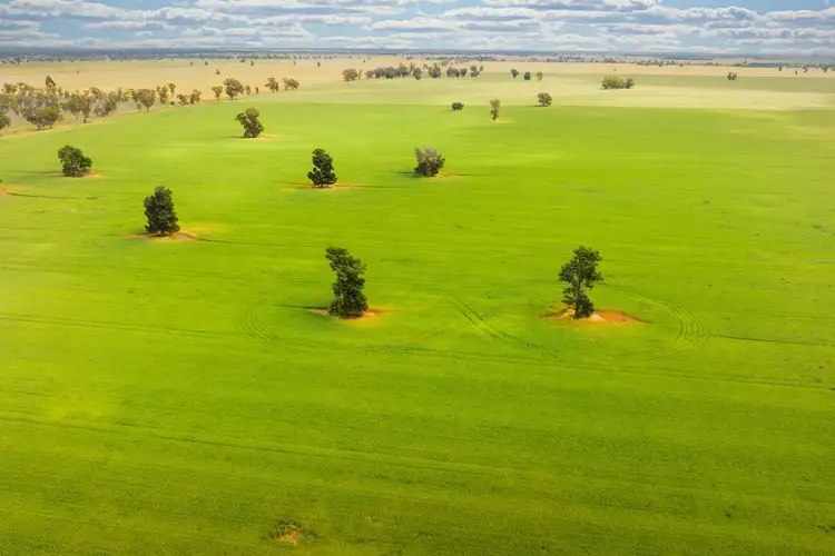 Third view of Homely rural property listing, Cullivel Road, Urana NSW 2645