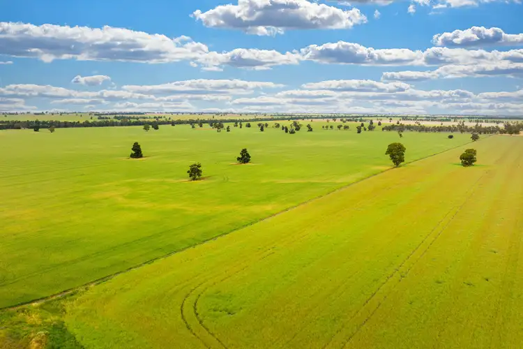 Fourth view of Homely rural property listing, Cullivel Road, Urana NSW 2645