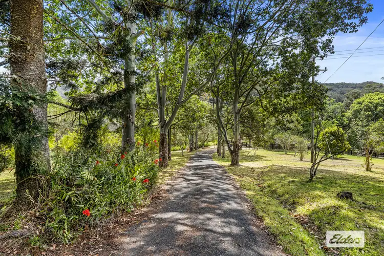Main view of Homely house listing, 1181 Tyalgum Road, Eungella NSW 2484