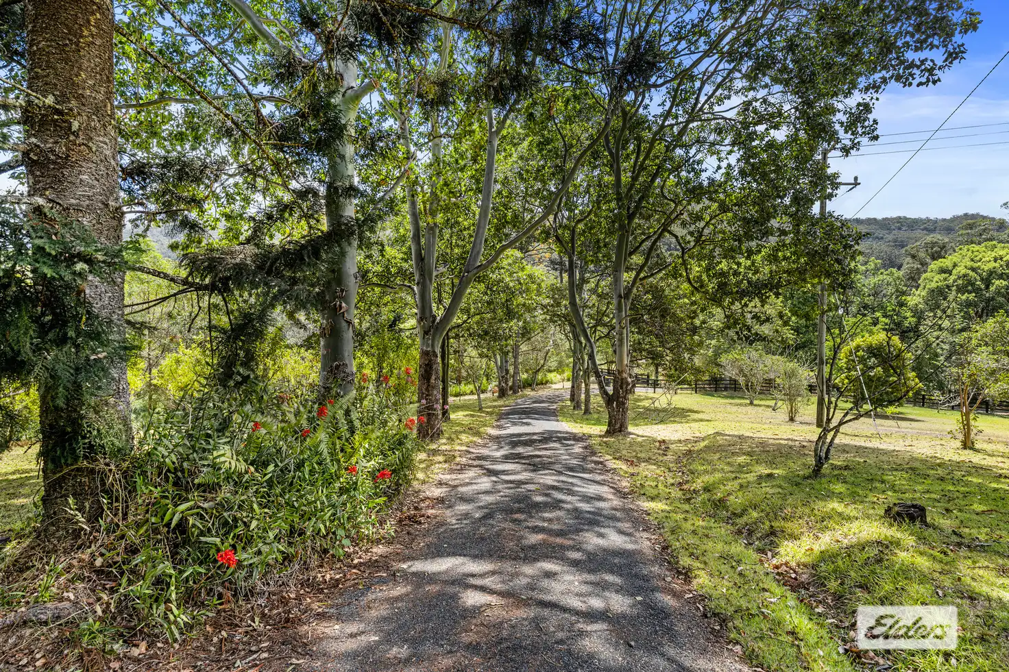 Main view of Homely house listing, 1181 Tyalgum Road, Eungella NSW 2484