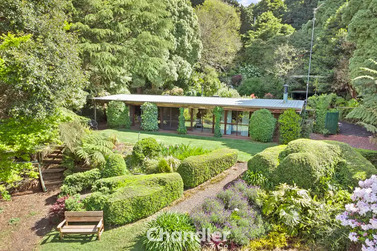 Main view of Homely house listing, 79 Kallista-Emerald Road, The Patch VIC 3792