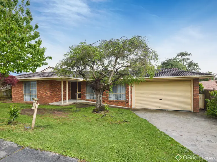 Main view of Homely house listing, 13 Neerim Street, Drouin VIC 3818