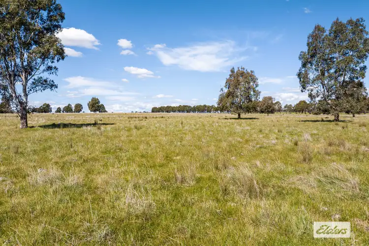 Seventh view of Homely rural property listing, 335 Valley Road, Mia Mia VIC 3444
