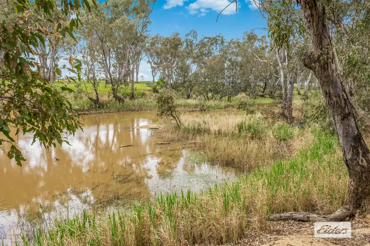 Seventh view of Homely rural property listing, Burke Street, Newbridge VIC 3551
