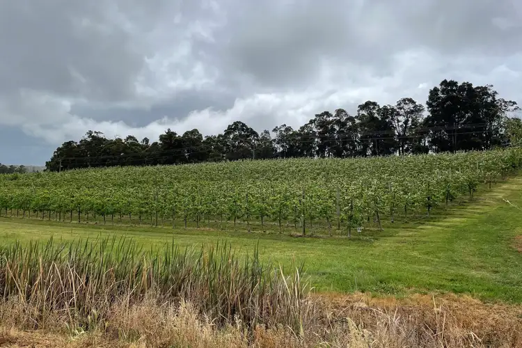 Third view of Homely rural property listing, 19974 South Western Highway, Newlands WA 6251