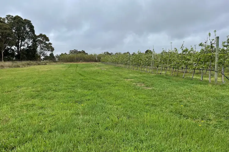 Fourth view of Homely rural property listing, 19974 South Western Highway, Newlands WA 6251