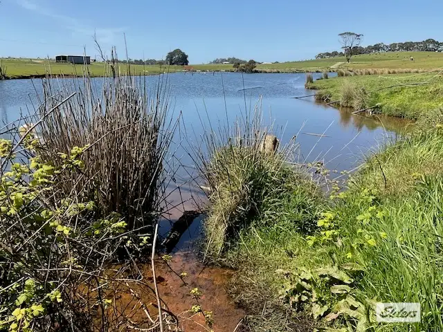 Fifth view of Homely rural property listing, Dawkins Road, Lileah TAS 7330