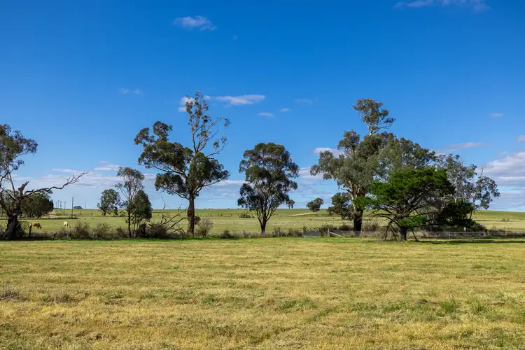 Fifth view of Homely rural property listing, 36 Tinja Lane, Mudgee NSW 2850