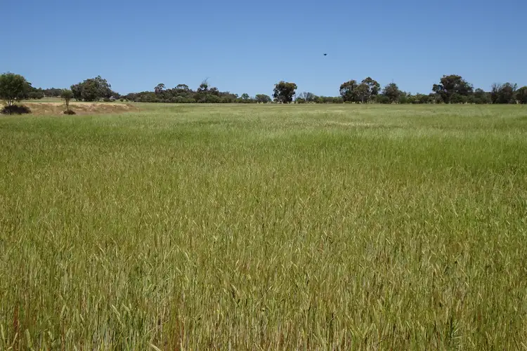 Second view of Homely rural property listing, Lullfitz Road, Pingelly WA 6308